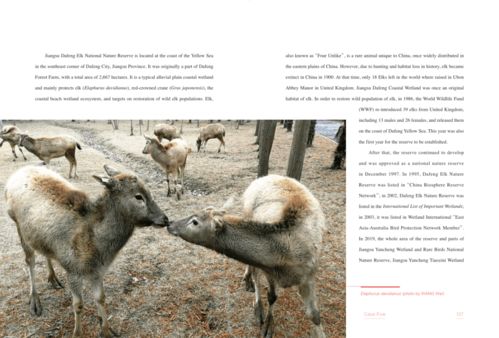 保護生物多樣性丨醫(yī)藥領域的技術開發(fā) 中觀自然啟示與雙語深讀