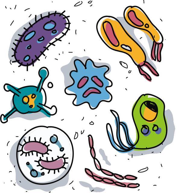 白喉疫情在印尼 了解這一生物威脅，掌握關鍵預防方法
