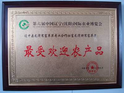 服務一條龍，無憂一整年 農業生產全程擁抱“專業化”運營商機